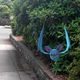 Pokémon Go